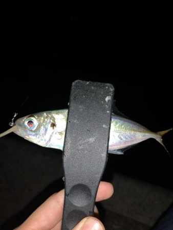 アーバンサイドアジング