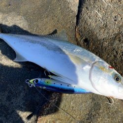 ショアプラッキング