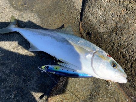 ショアプラッキング