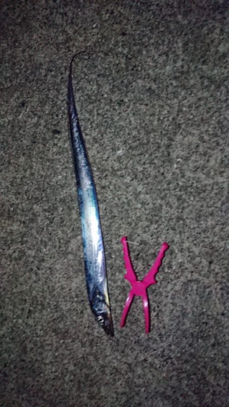 ポーアイ沖堤防にて