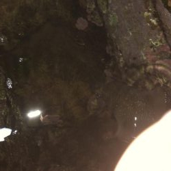 ショアジギング