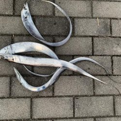 パターンが難しい