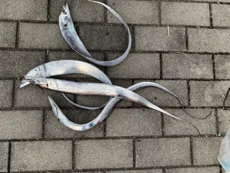 パターンが難しい