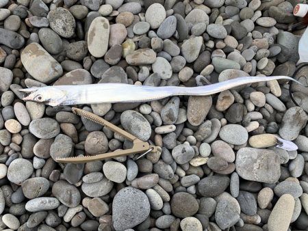 ななおの釣部日記