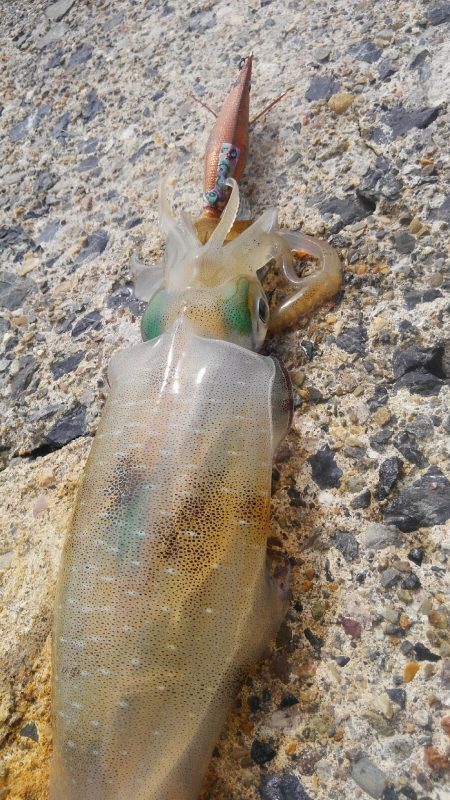 風が吹く前に～⤴