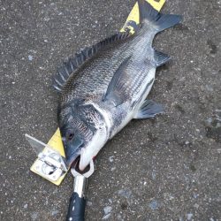 台風前に　~さざなみ公園~