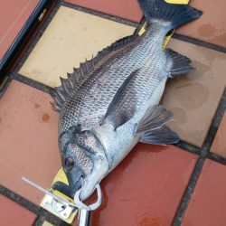 短時間にて　~辰巳橋~