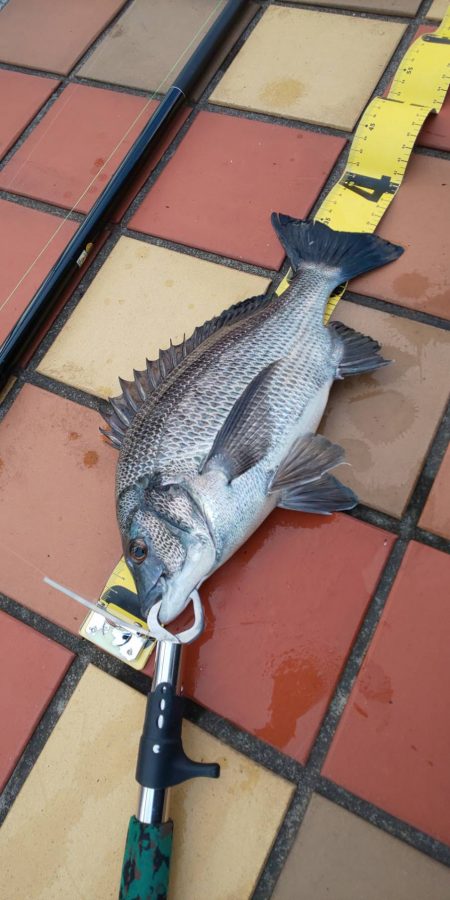 短時間にて　~辰巳橋~