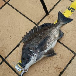 久々の40ＵＰ　~さざなみ公園~