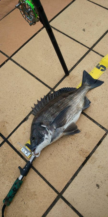 久々の40ＵＰ　~さざなみ公園~