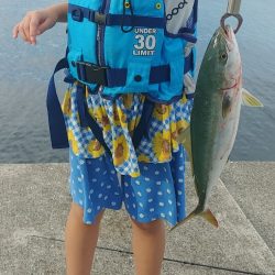 ハマチ　太刀魚