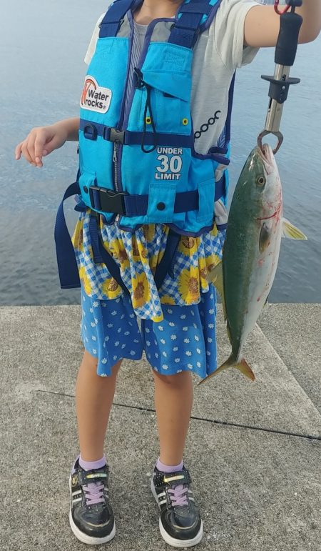 ハマチ　太刀魚