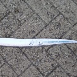 タチウオ人気ありすぎやわ