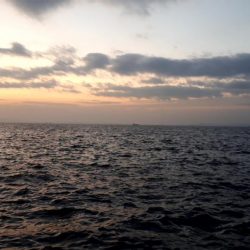 午後の部にて。