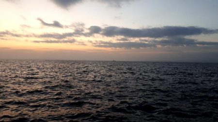 午後の部にて。