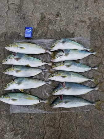 ２日連チャンで