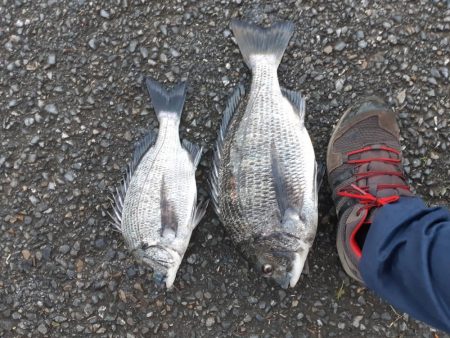 満潮１時間前に