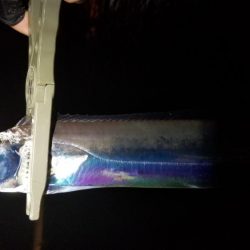 風にも負け…てしまいながらも