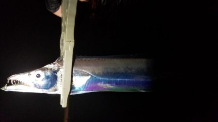 風にも負け…てしまいながらも