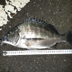 アタリは多いんだけど