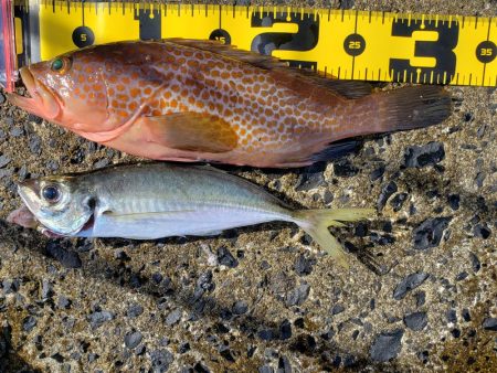 SUPフィッシング