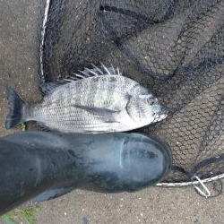 強風で海が大荒れ