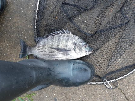 強風で海が大荒れ