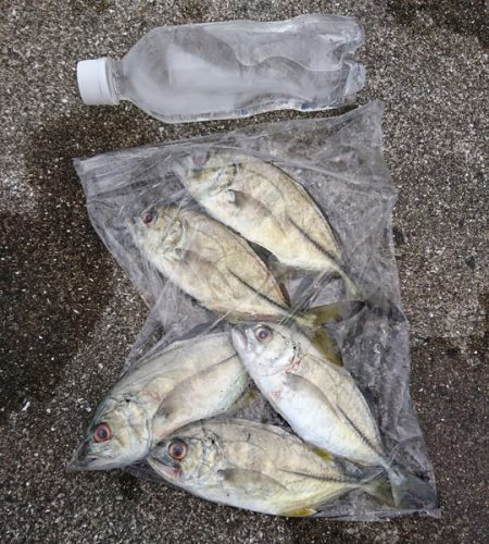 フカセで小物色々