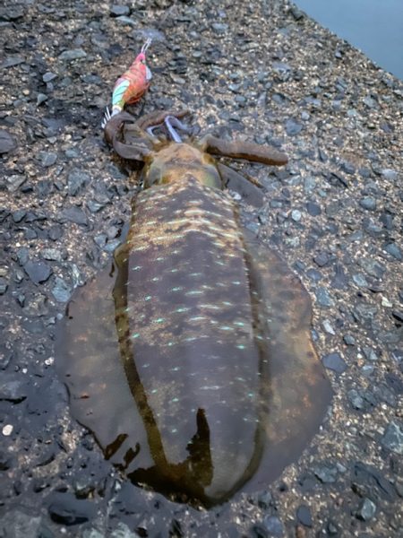 大変良くできました。