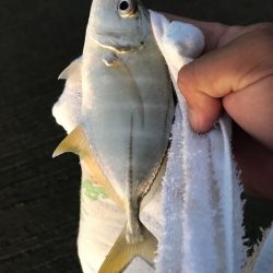 メッキはどこへ？