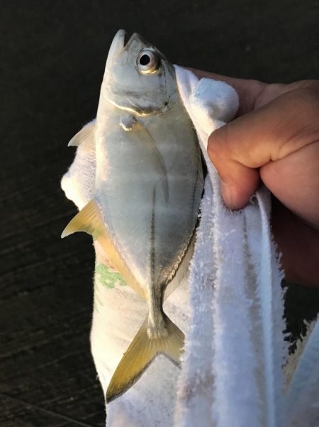 メッキはどこへ？