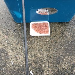 チュゲェーファイト!!