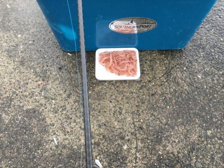 チュゲェーファイト!!