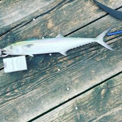 筏でショアジギング