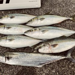 雨降らずガラガラ