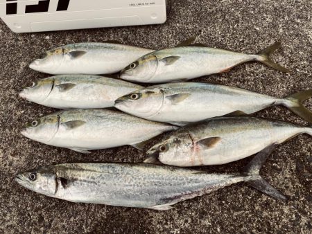 雨降らずガラガラ