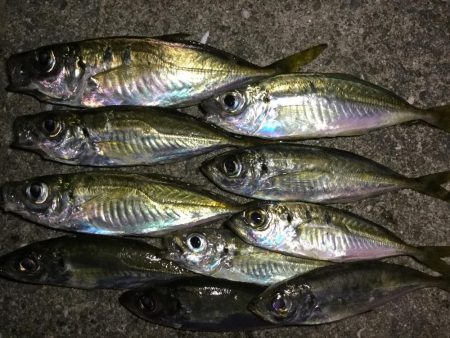 ナイトアジング