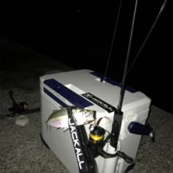 渋い中でのアジング‼︎