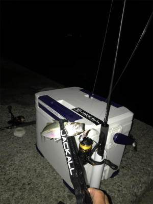 渋い中でのアジング‼︎