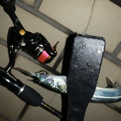 アーバンサイドアジング