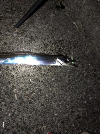 ドラゴンでました