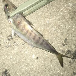 爆風に心折れました