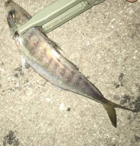 爆風に心折れました