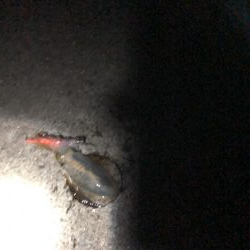 ラストのラストのラストで