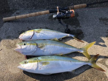 下津井ジギング