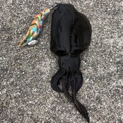 意表を突かれた！