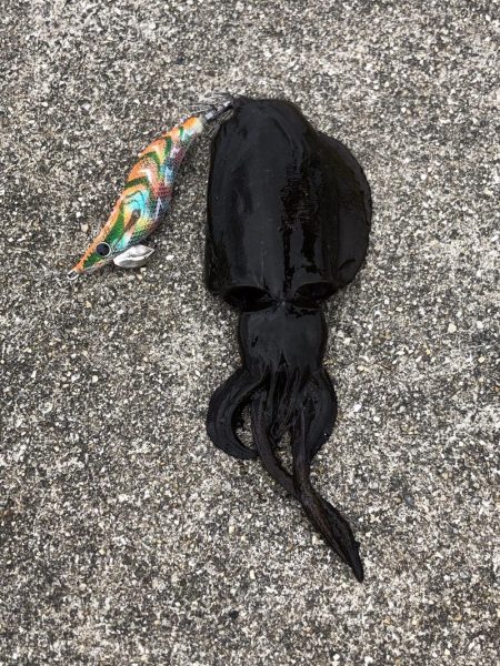 意表を突かれた！