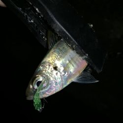 アーバンサイドアジング