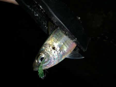 アーバンサイドアジング