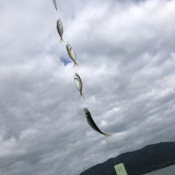 今回もアジアジアジアジアジアジアジアジアジアジ